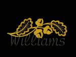 "Acorns"(260mm)_Set for borders