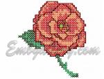 "Mini Rose"