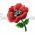 Poppies